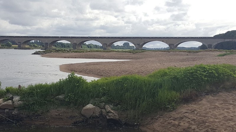 ROCHEFORT-SUR-LOIRE - 25 - VALLÉE LOIRE LOUET