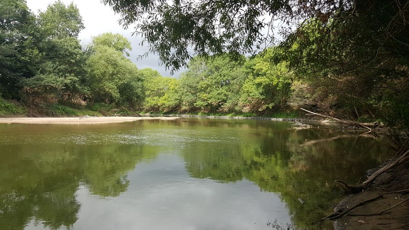 ROCHEFORT-SUR-LOIRE - 25 - VALLÉE LOIRE LOUET