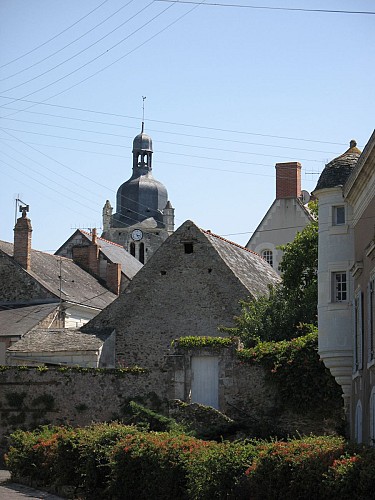 ROCHEFORT-SUR-LOIRE - 24 - LOIRE-BOIRE DE LA CIRETTERIE
