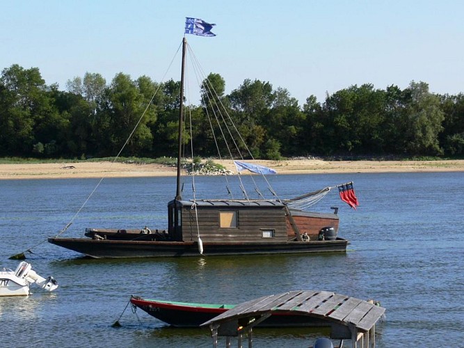 ROCHEFORT-SUR-LOIRE - 24 - LOIRE-BOIRE DE LA CIRETTERIE