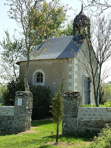 ROCHEFORT-SUR-LOIRE - 24 - LOIRE-BOIRE DE LA CIRETTERIE