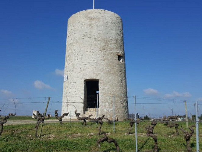 SAINT-AUBIN-DE-LUIGNÉ - 43 - LE GRAND BEAUVAIS