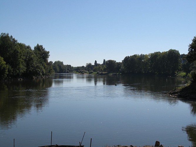 CHALONNES-SUR-LOIRE - 22 - DE L'ARMANGÉ AU JEU