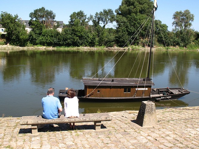 CHALONNES-SUR-LOIRE - 23 - COTEAU SAINT-VINCENT