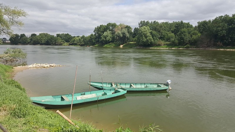 CHALONNES-SUR-LOIRE - 23 - COTEAU SAINT-VINCENT