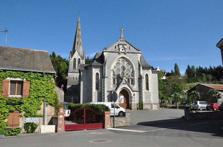 CHALONNES-SUR-LOIRE - 21 - VALLEE DU LAYON