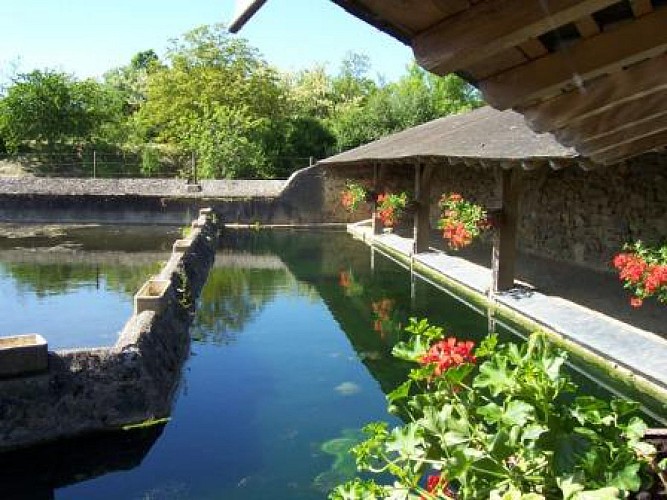 CHALONNES-SUR-LOIRE - 21 - VALLEE DU LAYON