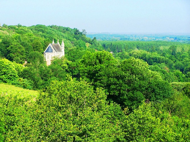 CHALONNES-SUR-LOIRE - 20 - DE LOUET EN CORNICHE