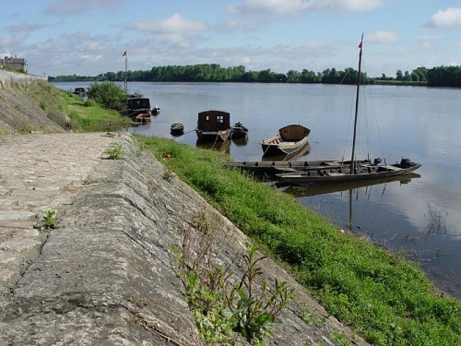 Circuit de randonnée : De Loire en forêt