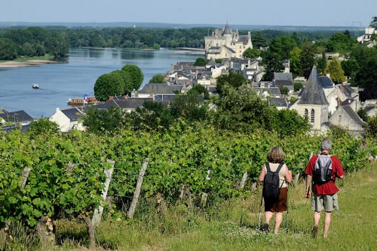 Circuit de randonnée : Un village et son château entre Loire et troglodytes