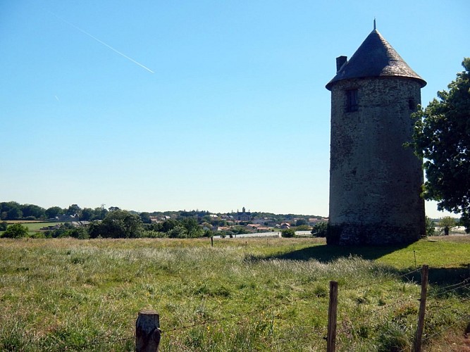 Randonnée "Des moulins à la vigne"