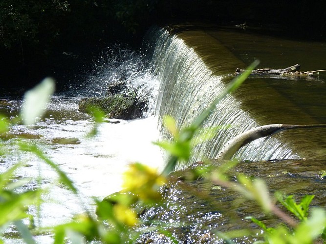 Randonnée "De Courrosé à Gévrise"