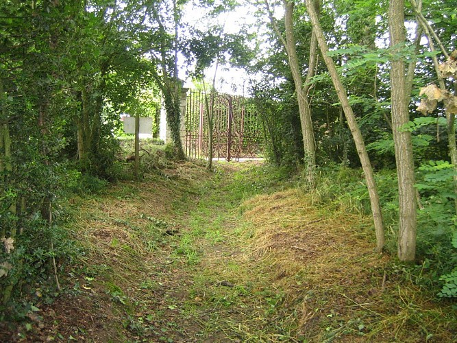 Randonnée "Le bois de la Boulaie"