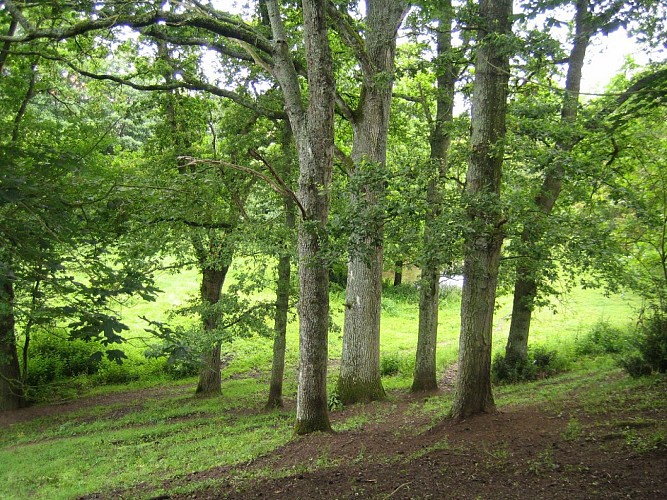 Randonnée "Le bois de la Boulaie"