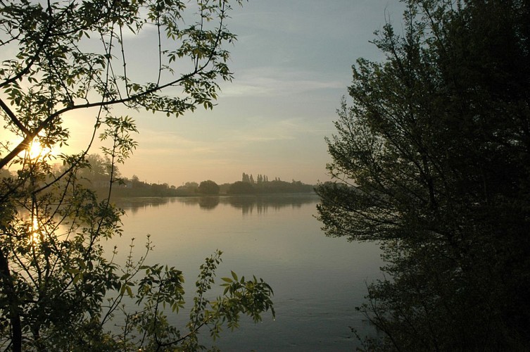 SENTIER D'INTERPRÉTATION DE LA GRANDE ILE A SAINT REMY LA VARENNE