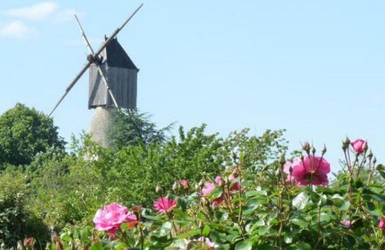 SAINT-REMY-LA-VARENNE - 95 - CIRCUIT DES LAVOIRS