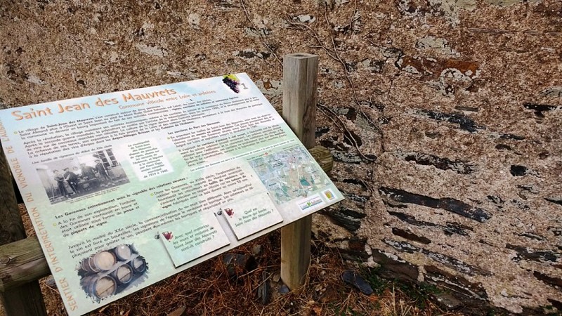 SENTIER D'INTERPRÉTATION DU VIGNOBLE DE L'AUBANCE : LA VIGNE AU FIL DU TEMPS