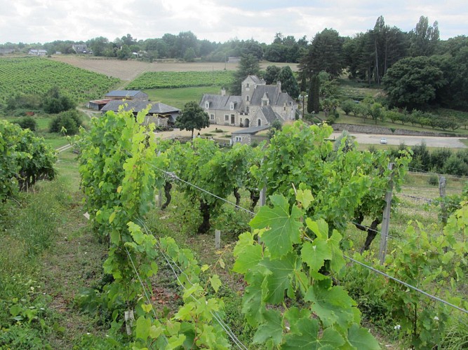 SENTIER D'INTERPRÉTATION DU VIGNOBLE DE L'AUBANCE : VIGNOBLE ET PATRIMOINE