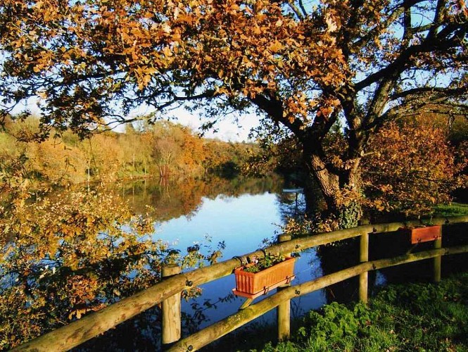 Randonnée "La coulée de la Divatte"