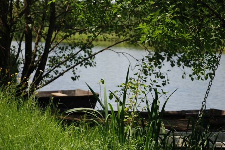 Balade découverte des boires de Drain