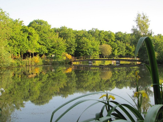 Randonnée "De la forêt à la lande"