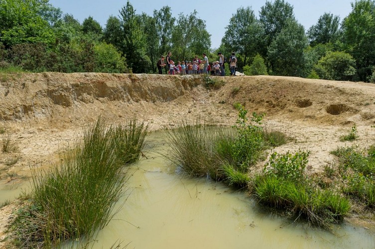 Randonnée "De la forêt à la lande"