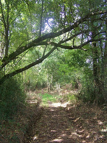Randonnée "Les Hauts du Doré"