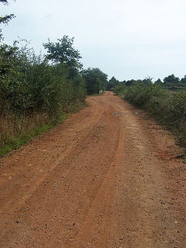 Randonnée "Les Hauts du Doré"