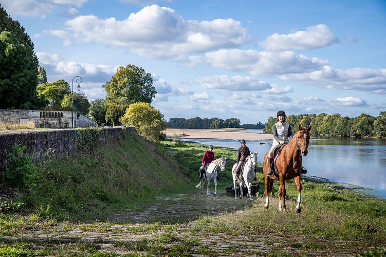 Circuit équestre : Vignes et coteaux du Saumur-Champigny