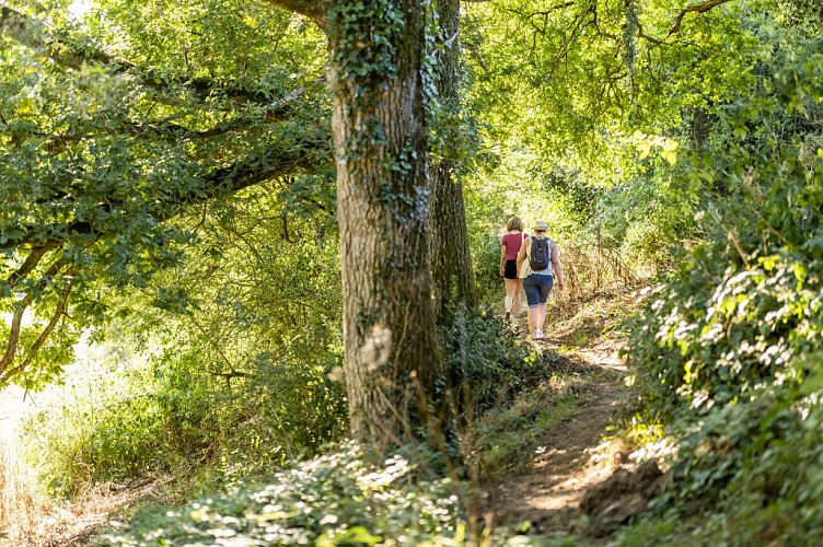Randonnée "Le gallo-romain sylvanois"