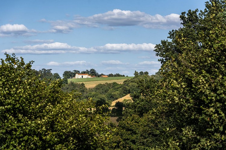 Randonnée "Le gallo-romain sylvanois"