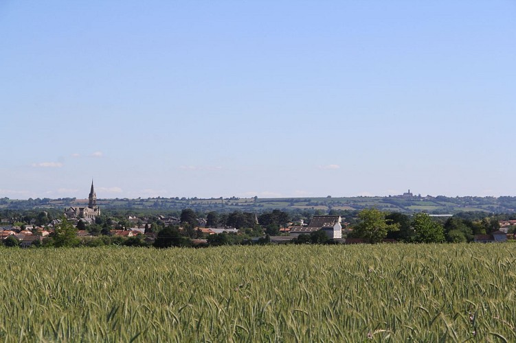 Randonnée "La croix bergère"