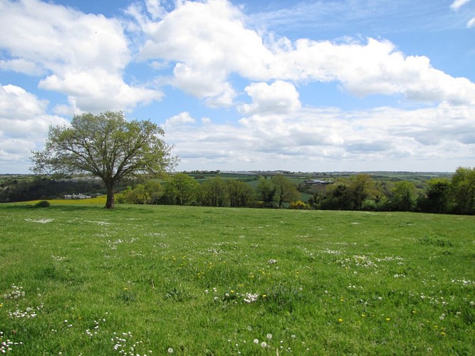 Randonnée "Du buis à la Trézenne"