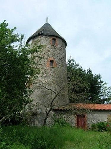 Randonnée "Du buis à la Trézenne"