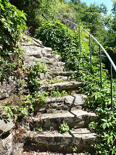 Balade "Découverte du site de Courossé"