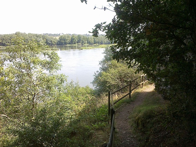 GR®3 La Loire sauvage à pied