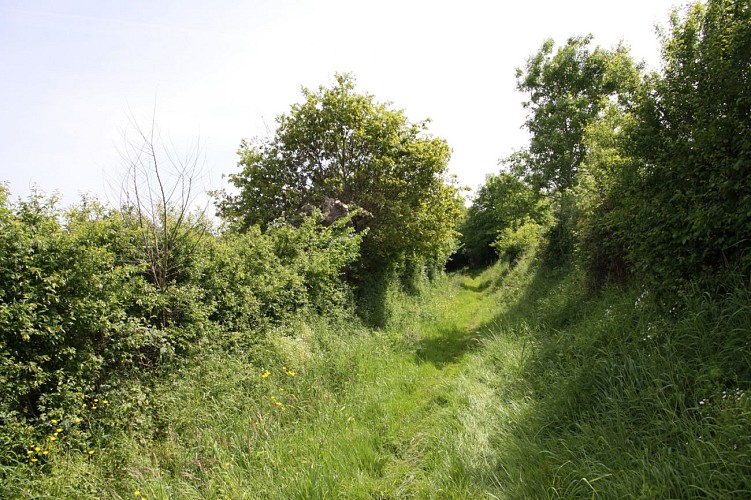 GR®3 La Loire sauvage à pied