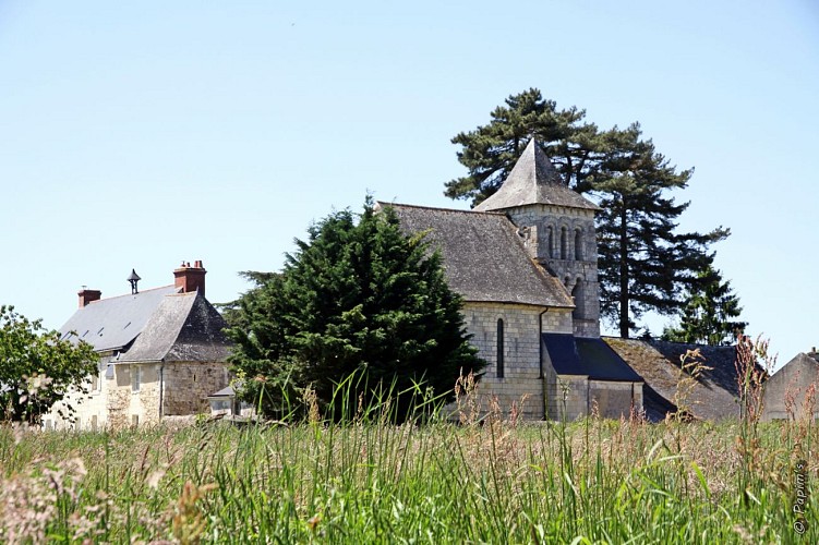 GR®3 La Loire sauvage à pied