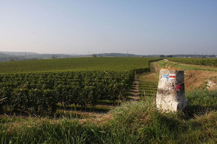 GR®3 La Loire sauvage à pied
