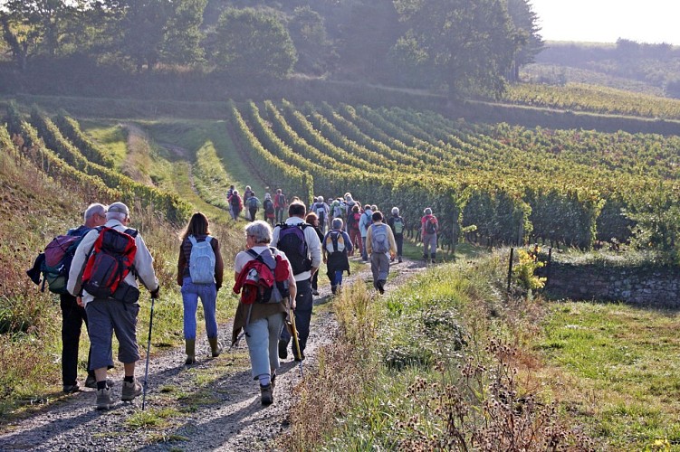 GR®3 La Loire sauvage à pied