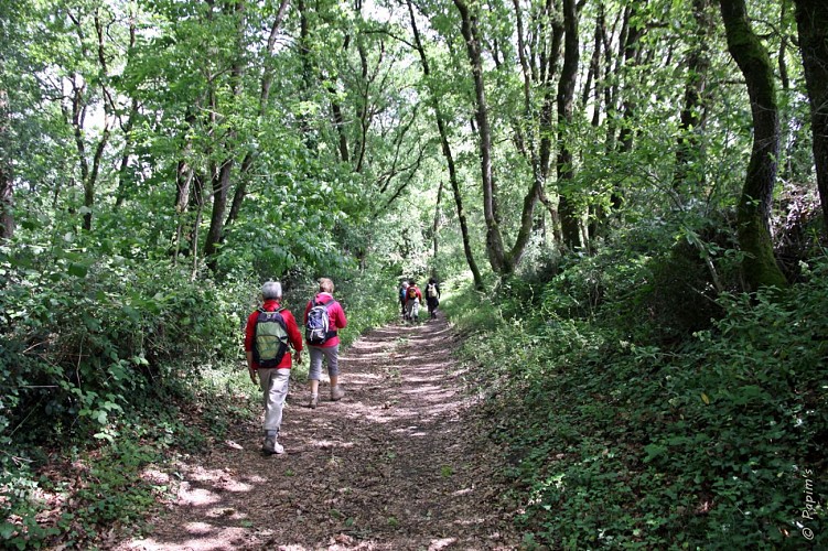 GR®3 La Loire sauvage à pied