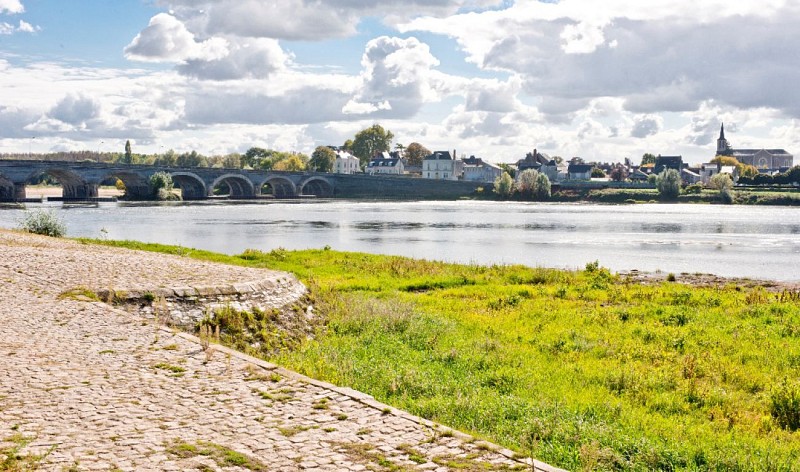 Route des vins - Château de Brissac et vignoble de l'Aubance