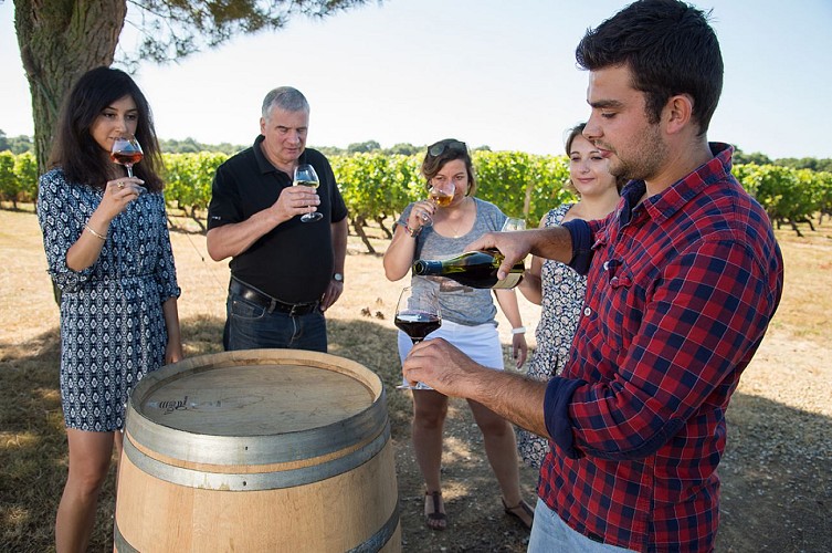 Route des vins - Château de Brissac et vignoble de l'Aubance