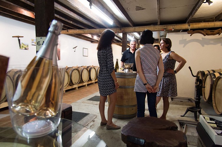 Route des vins - Château de Brissac et vignoble de l'Aubance