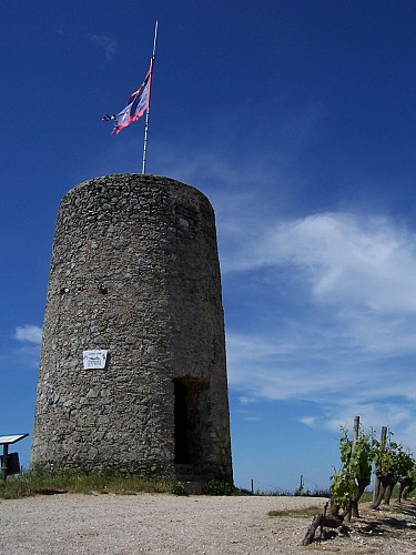 Route des vins - Coteaux et panoramas du Layon