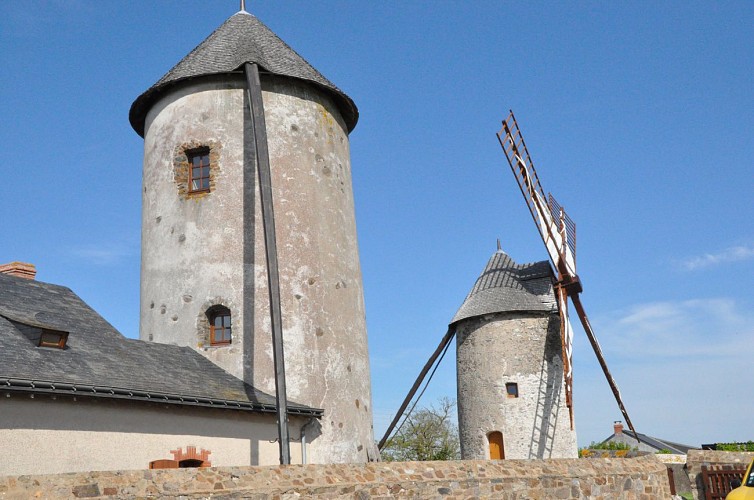 Route des vins - Coteaux et panoramas du Layon