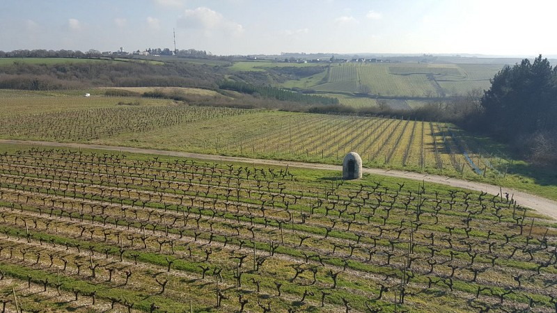 Route des vins - Loire sauvage et corniche angevine