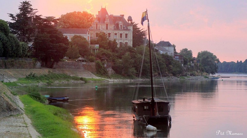 Route des vins - Loire sauvage et corniche angevine