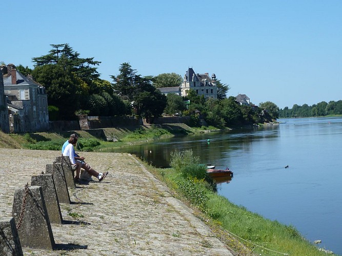 Route des vins - Loire sauvage et corniche angevine