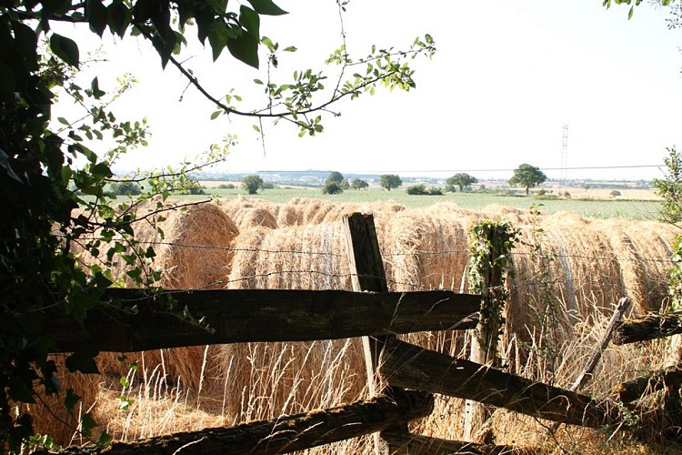 Randonnée "La Droille et l'Armazie"